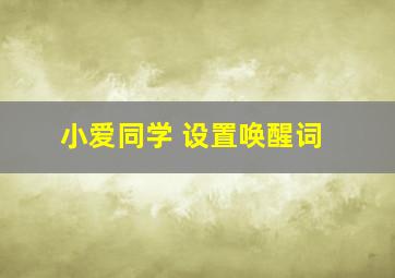 小爱同学 设置唤醒词